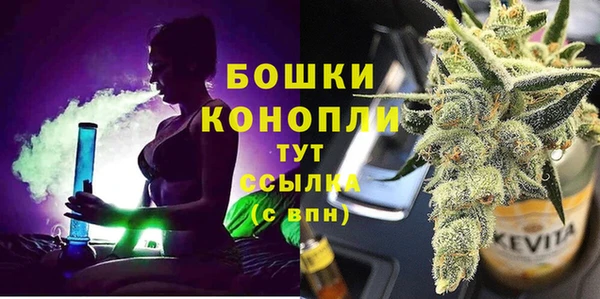 ПСИЛОЦИБИНОВЫЕ ГРИБЫ Аркадак