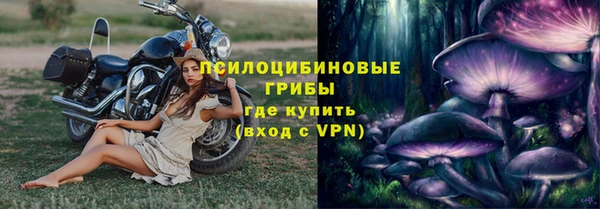 ПСИЛОЦИБИНОВЫЕ ГРИБЫ Аркадак