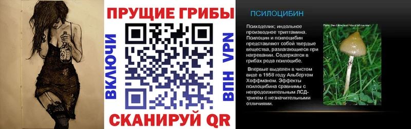 нарко площадка официальный сайт  Сухиничи  Галлюциногенные грибы Psilocybine cubensis 