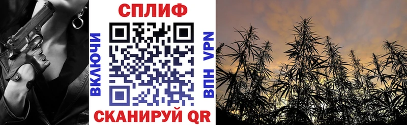 Бошки Шишки Ganja  Сухиничи 
